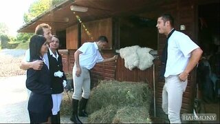 Angel Preto Luc Alle-Dòbel old Di Solo Kayente