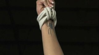 Harmónia - Suka Školenia - Úplné film